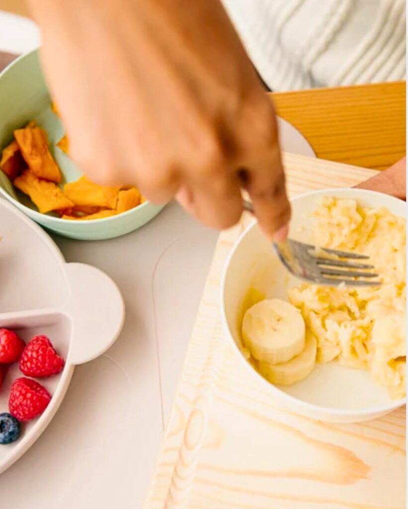 introdução alimentar